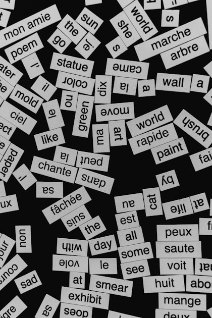 Building Vocabulary for French Tests